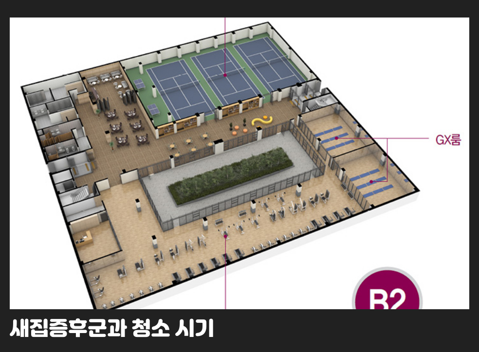 새집증후군과 청소 시기