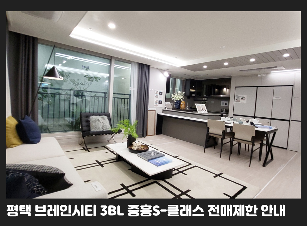 평택 브레인시티 3BL 중흥S-클래스 전매제한 안내