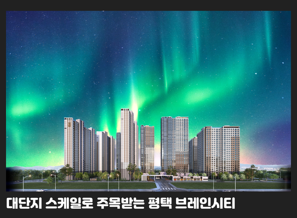 대단지 스케일로 주목받는 평택 브레인시티