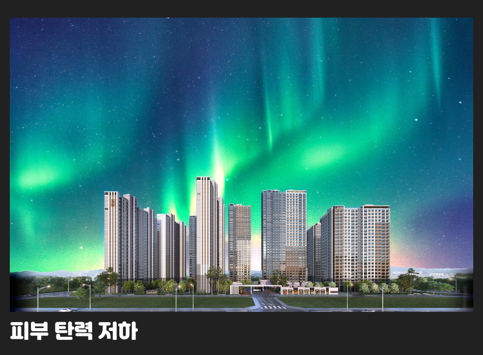 피부 탄력 저하