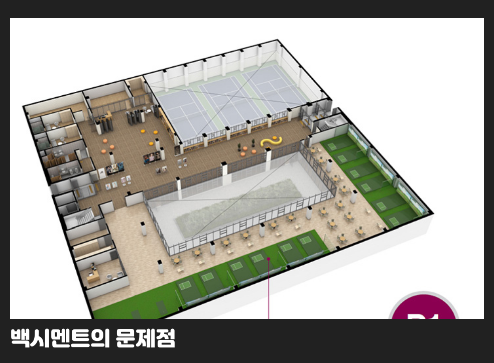 백시멘트의 문제점