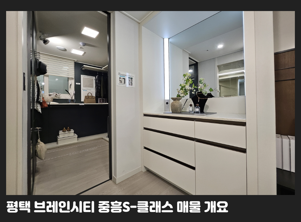 평택 브레인시티 중흥S-클래스 매물 개요