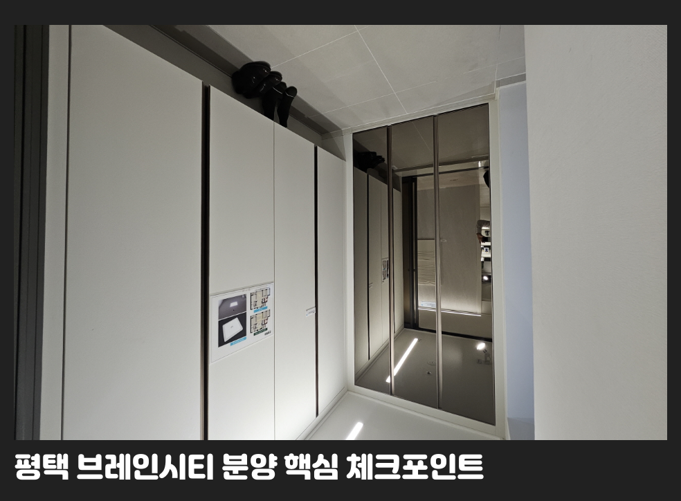 평택 브레인시티 분양 핵심 체크포인트