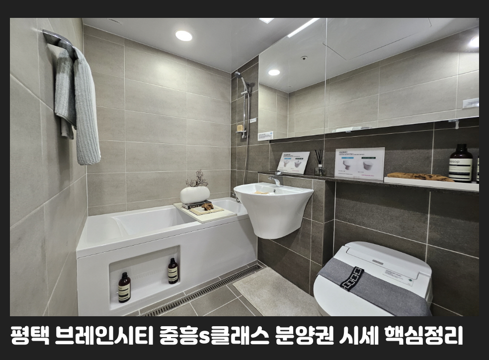 평택 브레인시티 중흥s클래스 분양권 시세 핵심정리