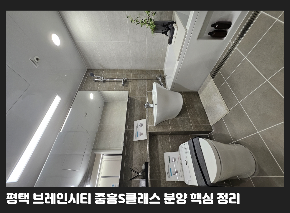 평택 브레인시티 중흥S클래스 분양 핵심 정리