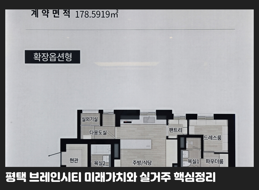 평택 브레인시티 미래가치와 실거주 핵심정리