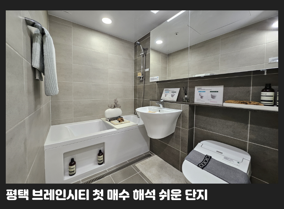 평택 브레인시티 첫 매수 해석 쉬운 단지